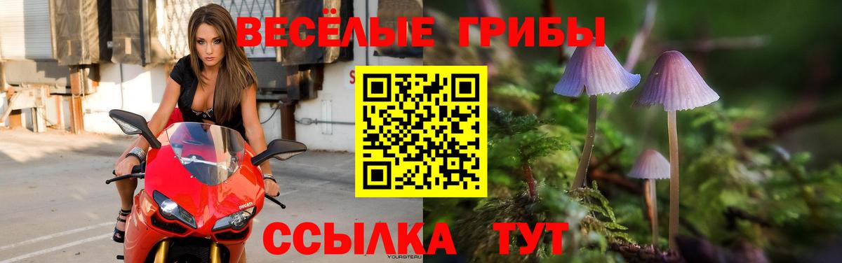 Галлюциногенные грибы Cubensis  Галлюциногенные грибы Magic Shrooms  Богородск  Вход с VPN 