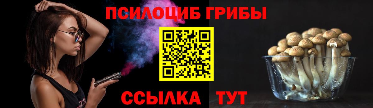 Галлюциногенные грибы MAGIC MUSHROOMS Богородск